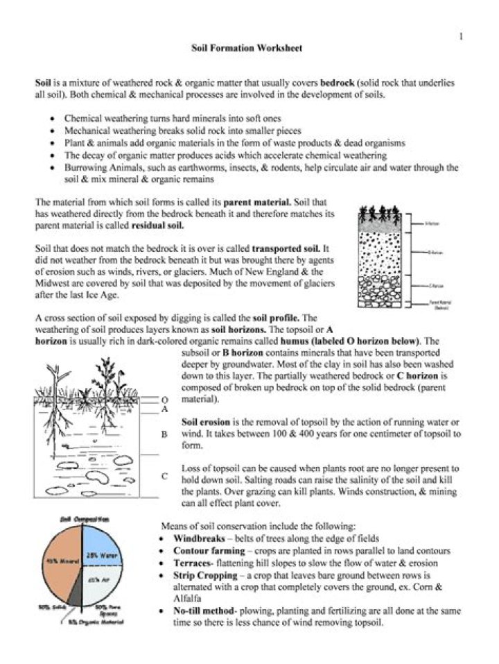Soil Formation Worksheet Answer Key PDF – Free Download