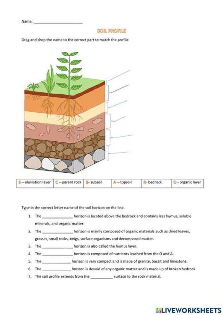 Soil Profile Worksheet PDF – Download Free Soil Analysis Template