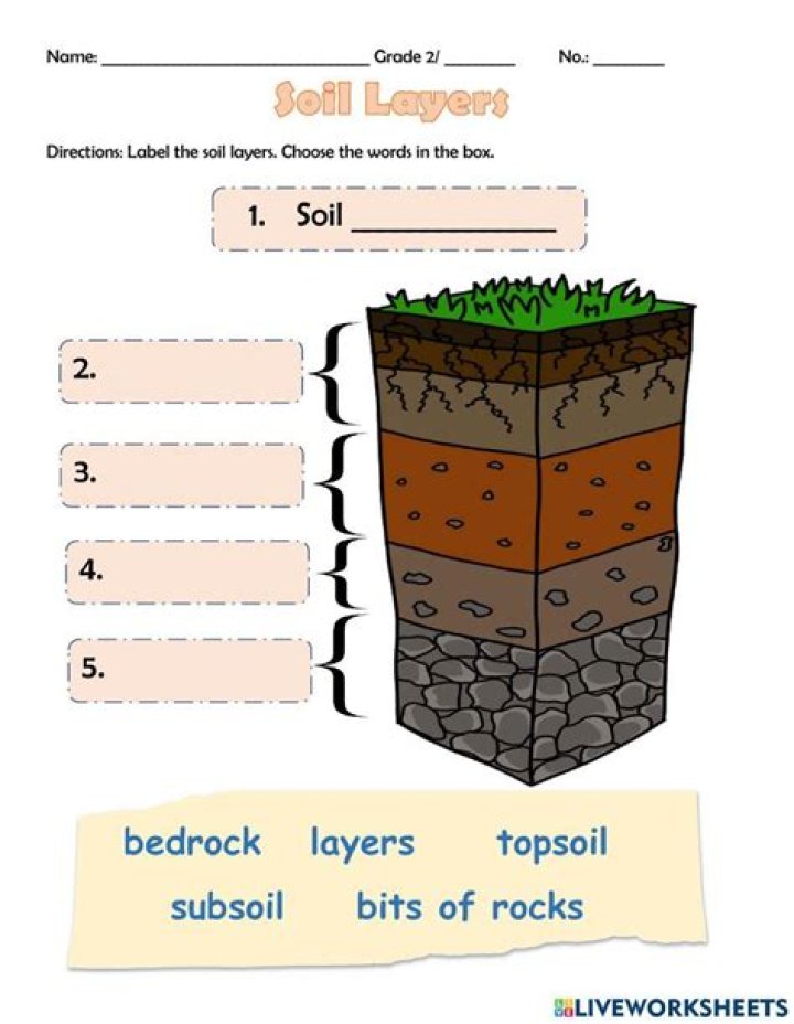 Free Soil Worksheet PDF for Gardening & Agriculture