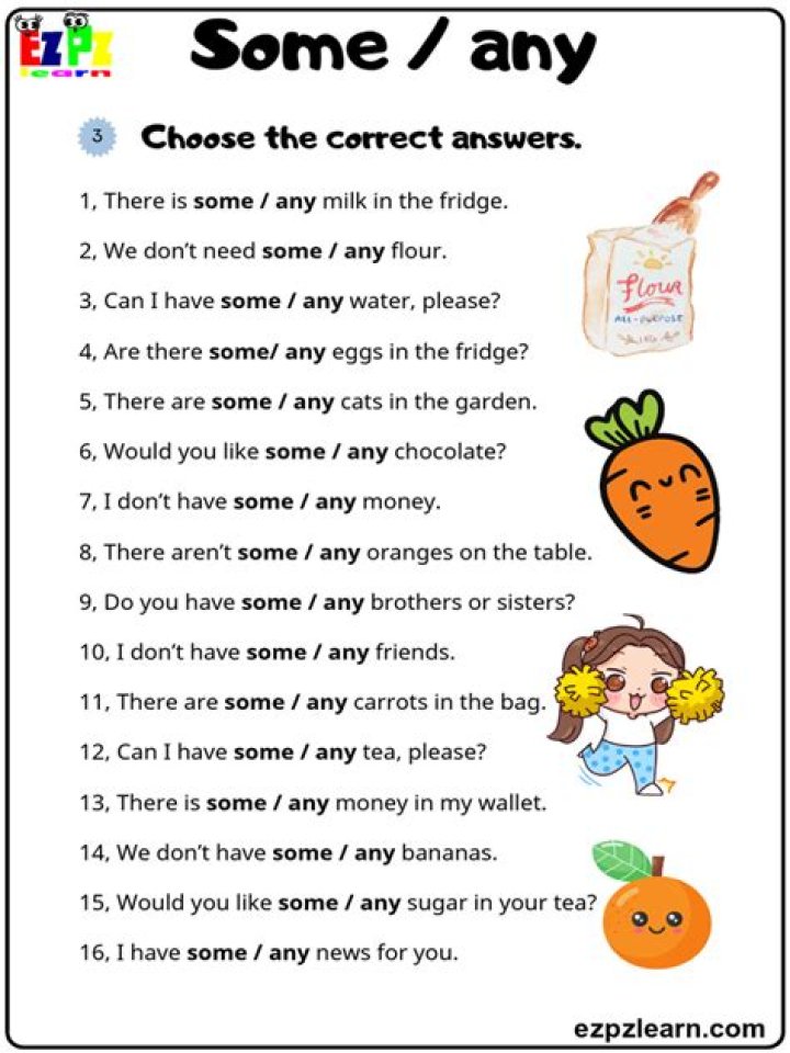 Free Some and Any Exercises with Answers PDF Download