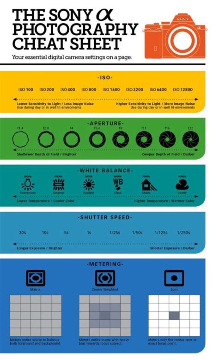 Sony A6000 Cheat Sheet PDF: Quick Reference & Quick Start Guide