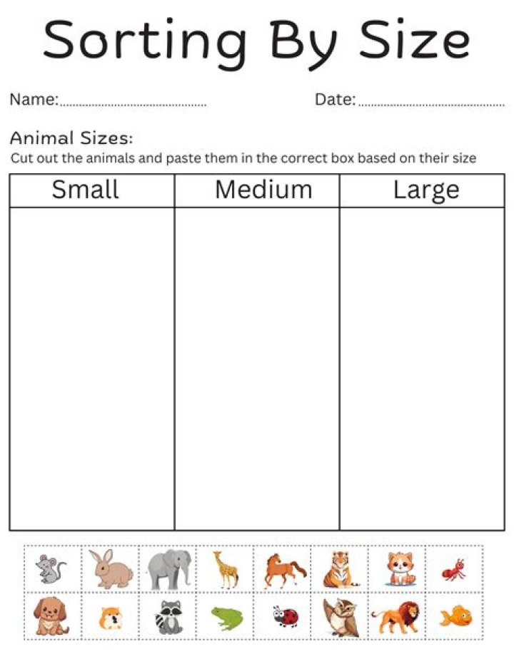 Free Sorting Worksheets for Kindergarten PDF – Instant Download