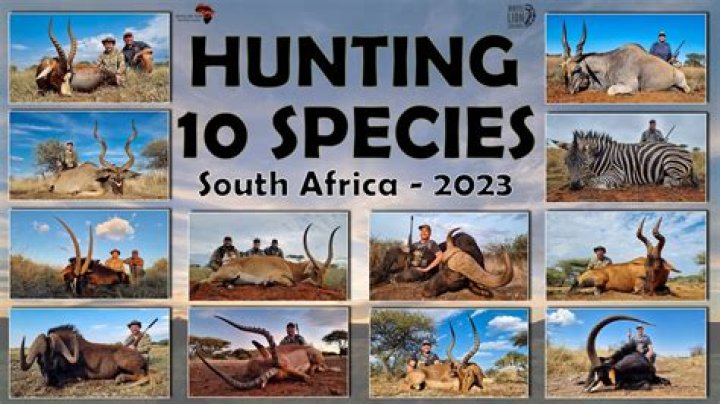 South Africa Hunting Species List PDF: Complete Guide
