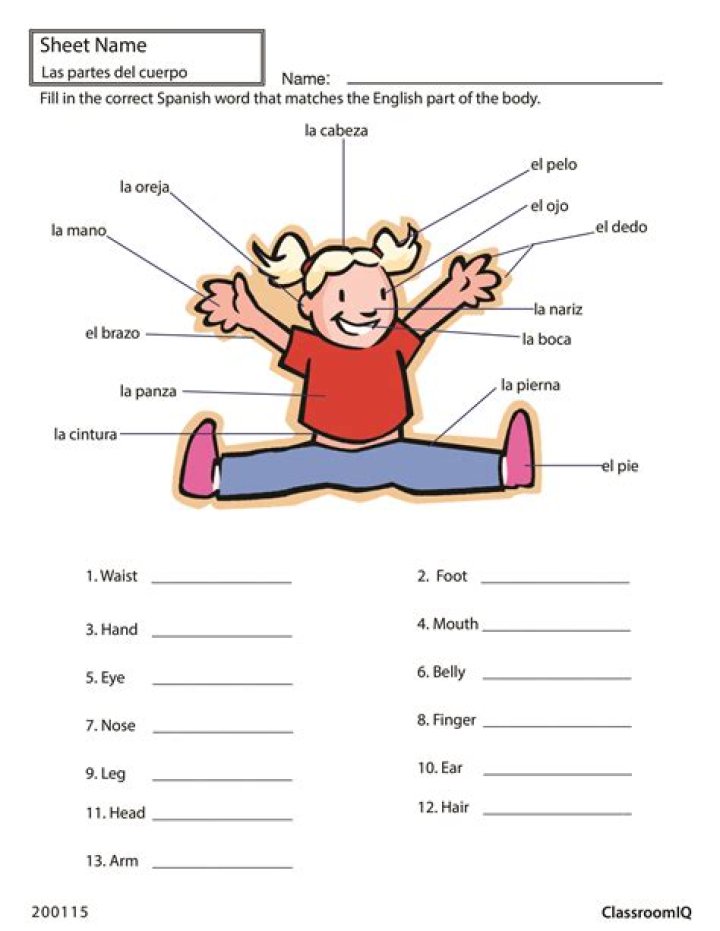 Free Spanish PDF Worksheets for Easy Learning