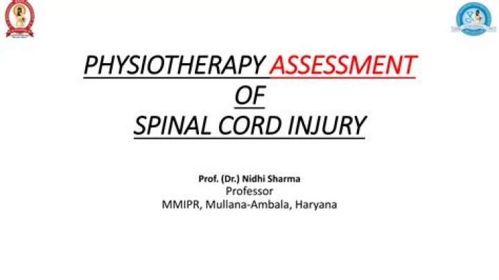 Comprehensive Physiotherapy Management for Spinal Cord Injury PDF Guide