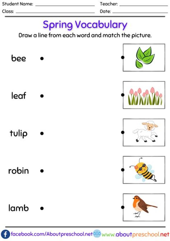 Spring Worksheets for Kindergarten PDF: Fun Printable Activities
