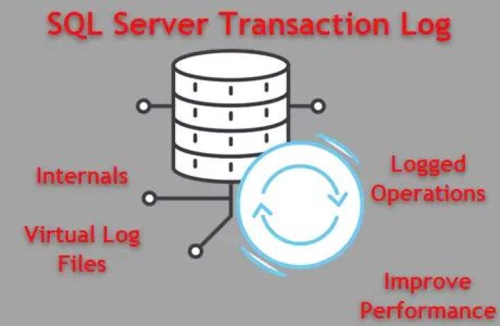 Master SQL Server Transaction Log Management with Expert PDF Guide