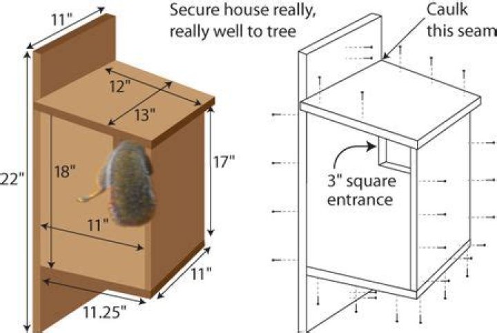 Download Free Squirrel Nesting Box Plans PDF