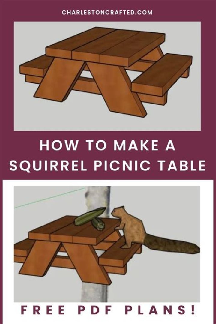 Free Squirrel Picnic Table Plans PDF – Download & Build Today!