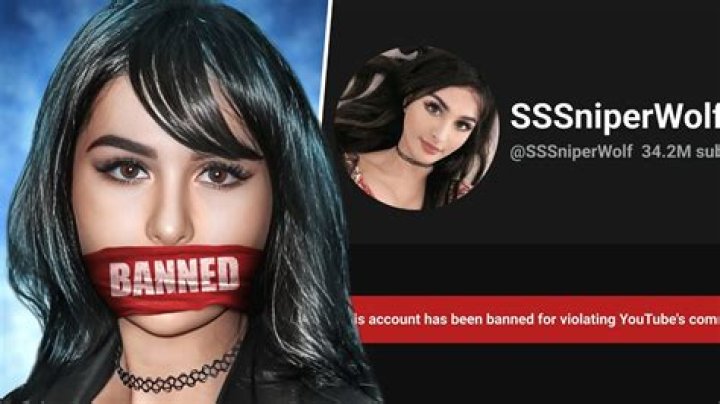 sssniperwolf aliashelesh sniperwolf freetoedit Sniper Wolf Youtuber Face, HD Png Download
