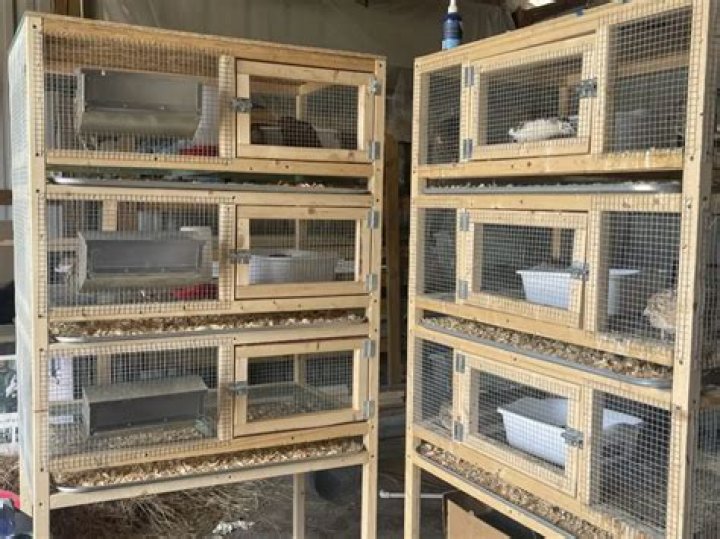 Stacked Quail Cage Plans PDF: Build Space-Saving Coops Easy to Download