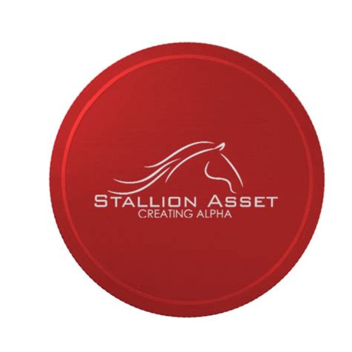 Stallion Asset Portfolio Stocks List PDF – Key Stakes & Performance Insights