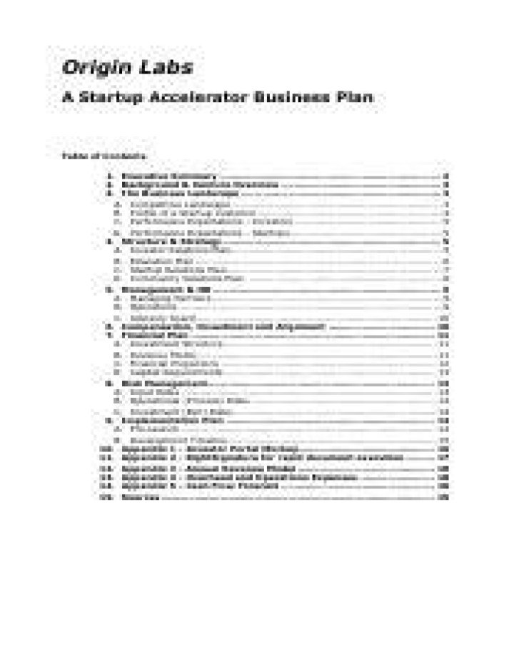Startup Accelerator Business Plan PDF: Launch Your Venture Faster