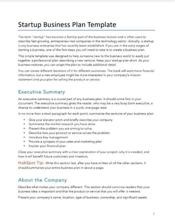 Startup Business Plan Example PDF – Ready-to-Use Template