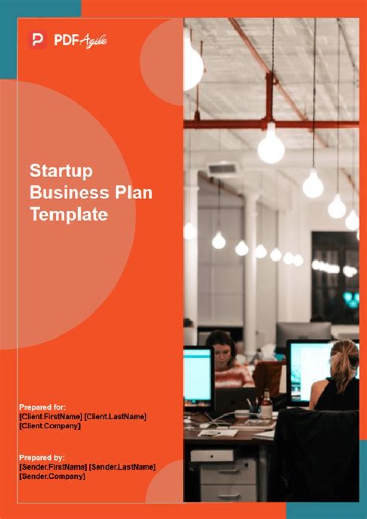 Startup Business Plan Sample PDF – Free Downloadable Template
