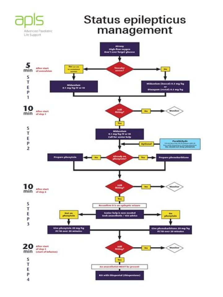 Essential Guide to Status Epilepticus Management PDF