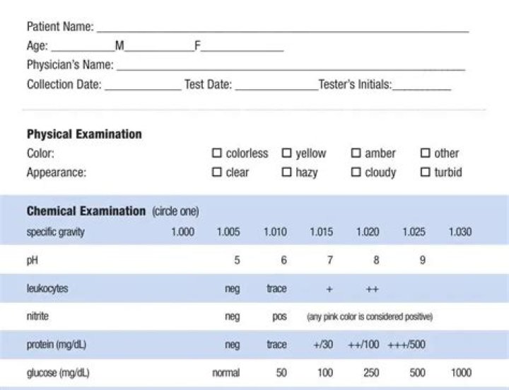 Steal This Urine Test PDF: Real Fraud or Fake Alert?