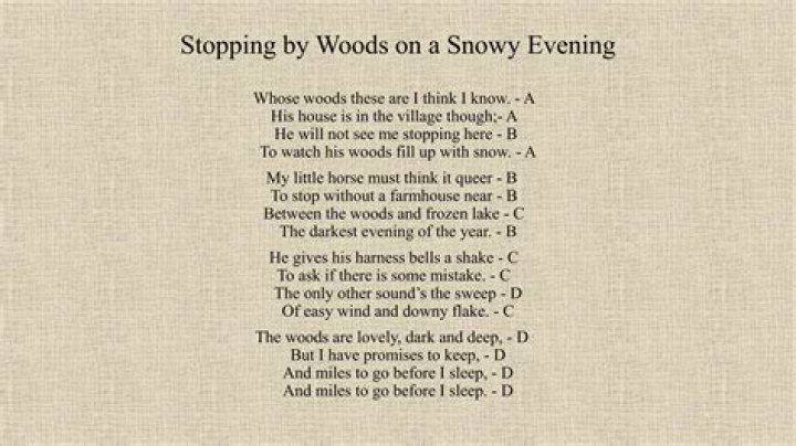 Stopping by Woods on a Snowy Evening: Question & Answer PDF Guide