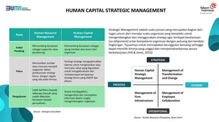 Strategic Human Capital Management: Mastering Workforce Optimization PDF