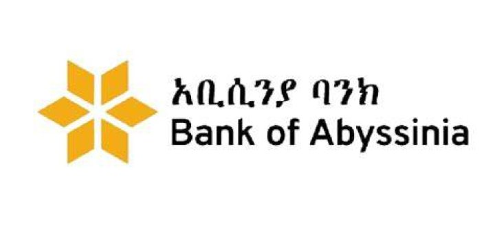 Abyssinia Bank Strategic Plan 2024 PDF: Key Financial Roadmap