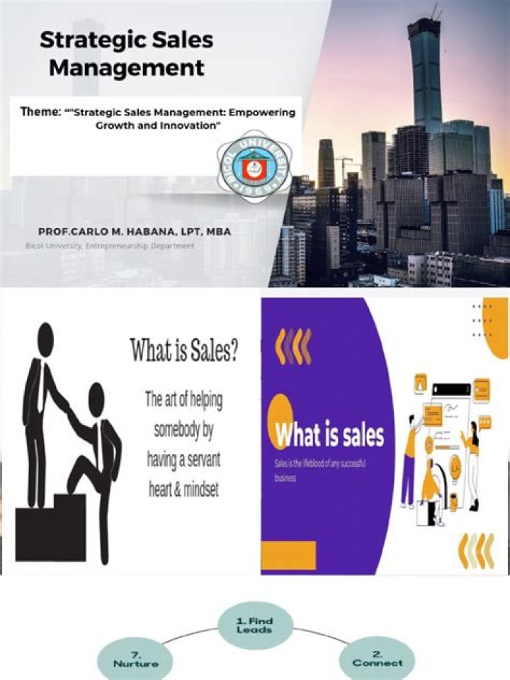 Master Strategic Sales Management with Expert PDF Guide