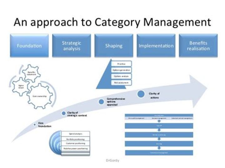 Strategic Sourcing and Category Management: Expert PDF Guide