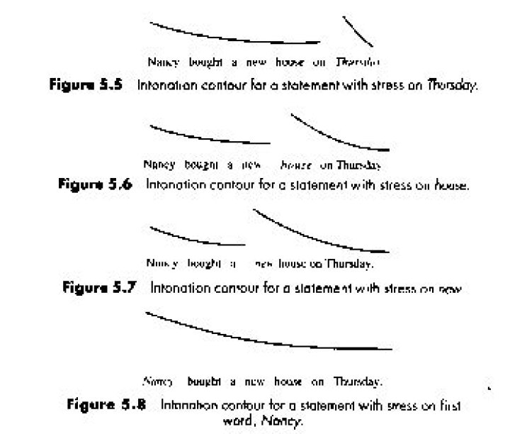 Stress & Intonation Exercises with Answers PDF: Master Clear Speech