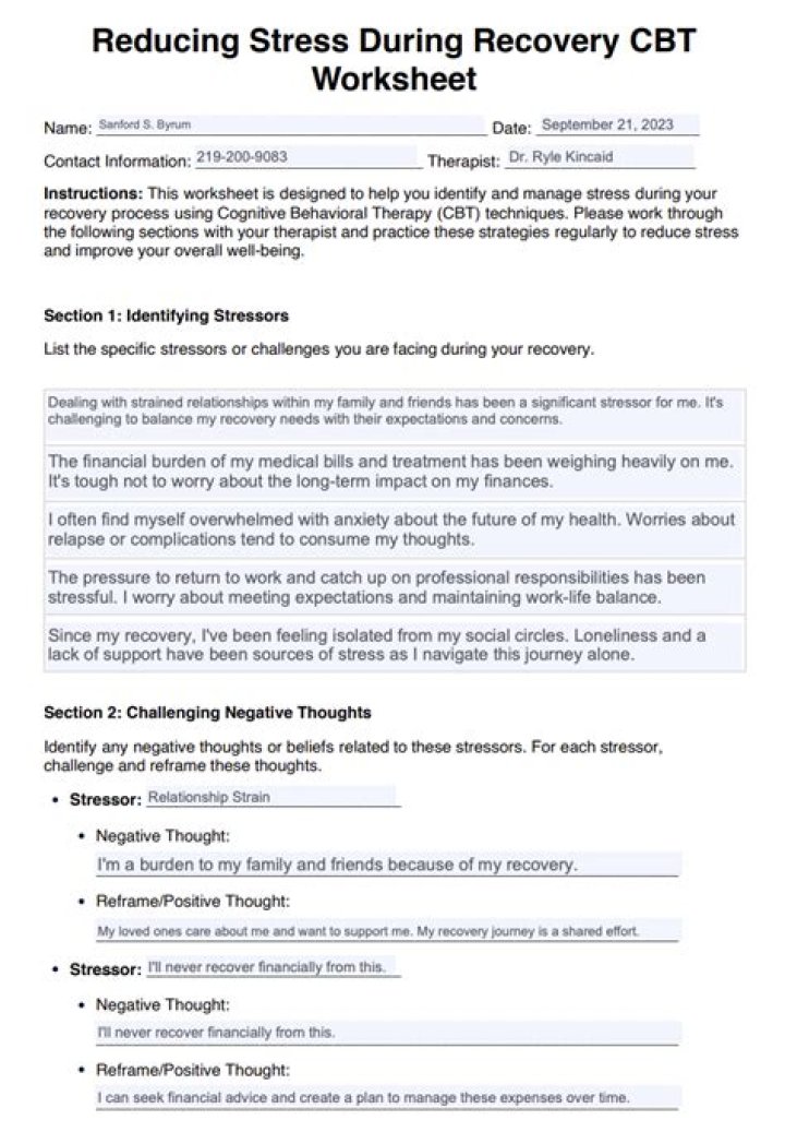 Stress Management in Addiction Recovery: Essential PDF Guide