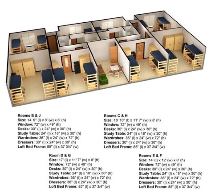 Student Accommodation Floor Plans PDF – Download Detailed Layouts
