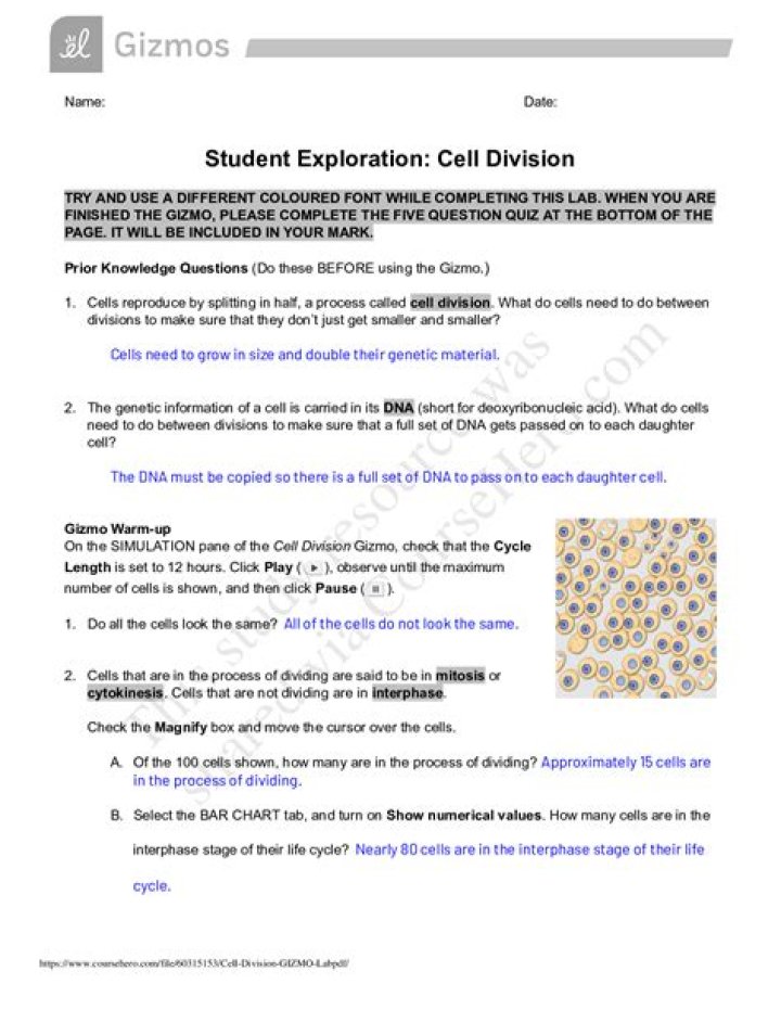 Student Exploration Cell Types Answer Key PDF – Instant Download