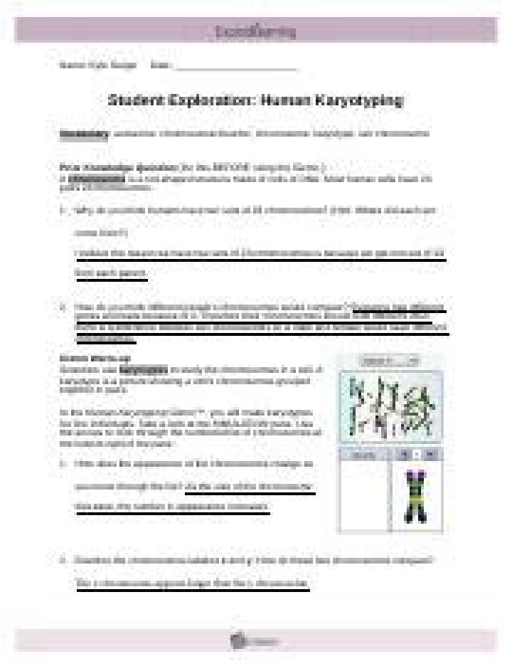 Student Exploration Human Karyotyping Gizmo Answer Key PDF