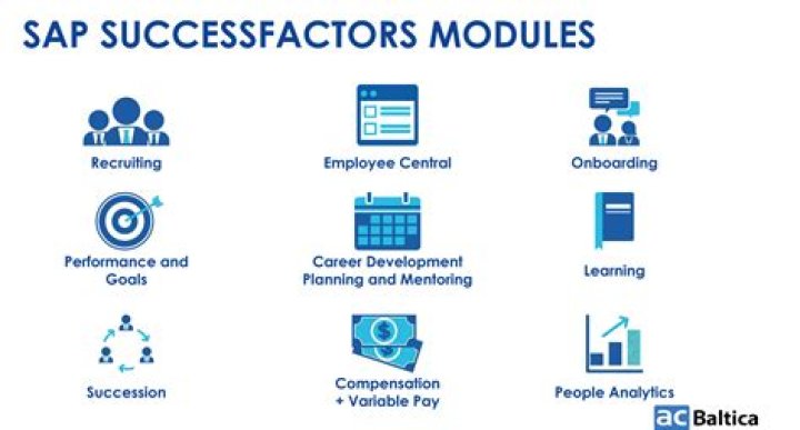 Success Factors in Compensation Management: A Comprehensive PDF Guide