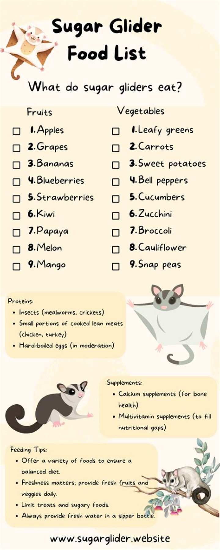 Sugar Glider Food List PDF: Complete Care Guide