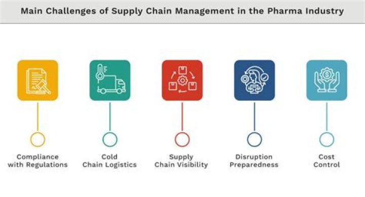 Supply Chain Management in the Pharmaceutical Industry: Essential PDF Guide