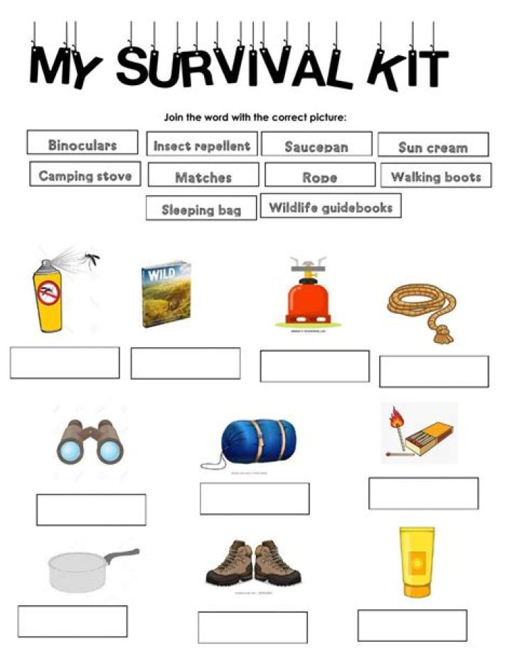 Survival Worksheets PDF: Essential Preparedness Tools for Any Emergency