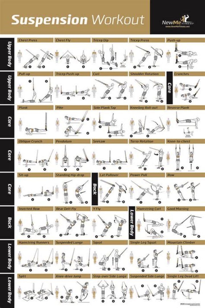 Suspension Training Workout Plan PDF – Build Strength & Stability