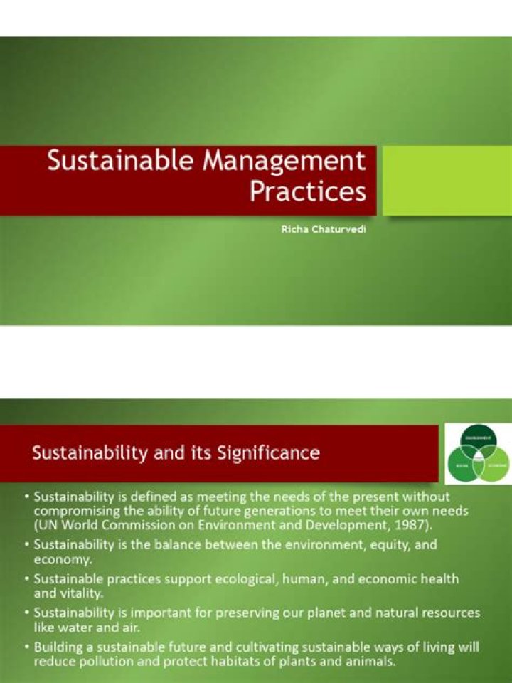 Master Sustainable Management with Our Free PDF Guide