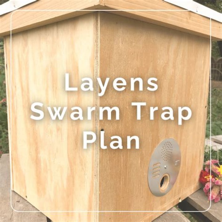 Swarm Trap Trap Plans PDF Free Download – Easy DIY Guide