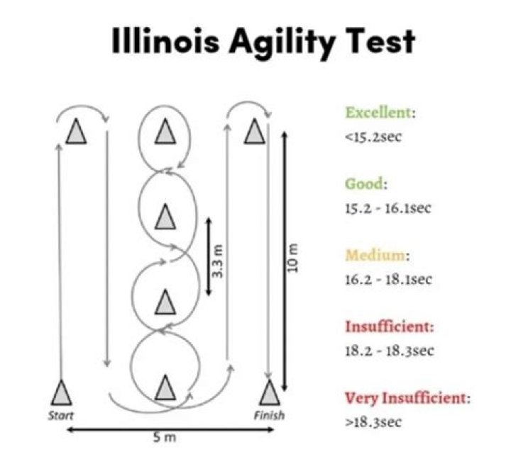 Mastering the T-Test Agility: Quick PDF Guide for Fast Decision-Making