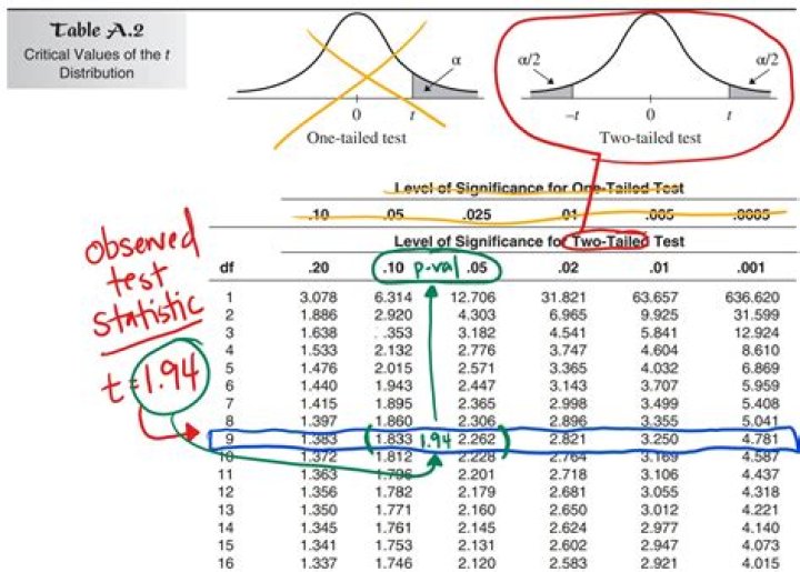 Free T Test PDF Download – Instant Access to Statistical Analysis Tools