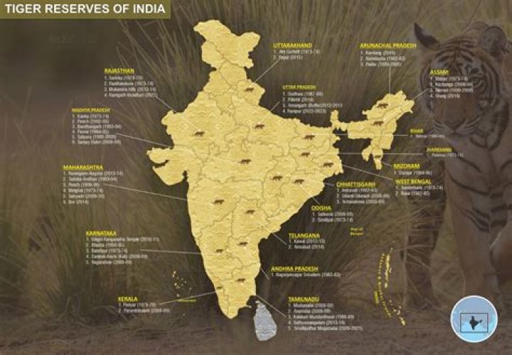 Tadoba Tiger Name List PDF – Complete Guide & Identification