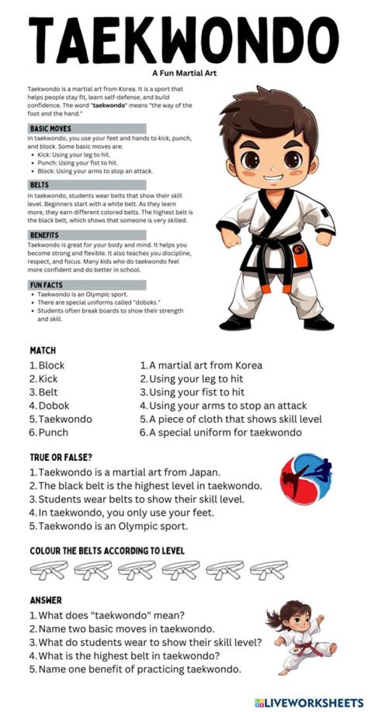Free Taekwondo Lesson Plan PDF for Beginners