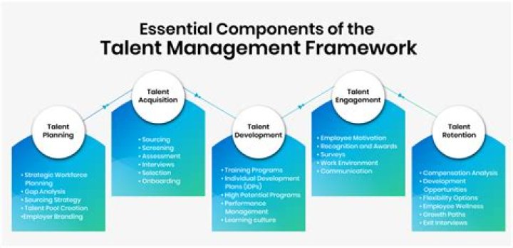 Mastering Talent Management: A Practical Project PDF Guide