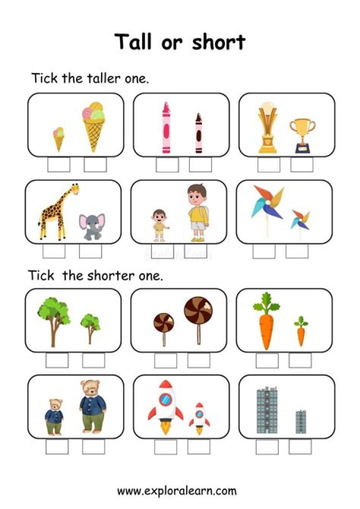 Tall and Short Worksheets for Kindergarten PDF – Free Printable