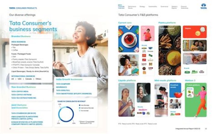 Tata Consumer Products List PDF: Complete Guide to Brands & Offerings