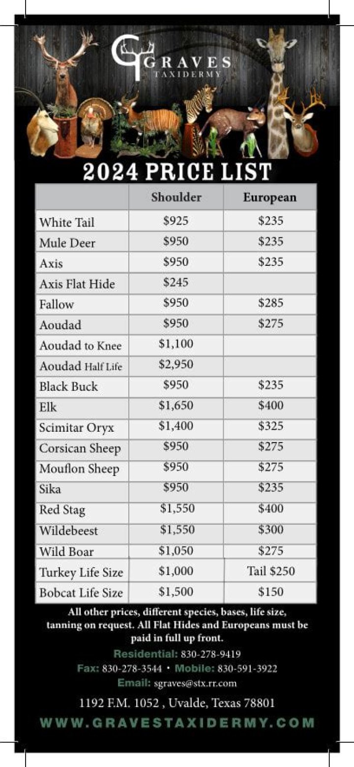 Taxidermy Price List South Africa – Affordable Prices & Full PDF Guide
