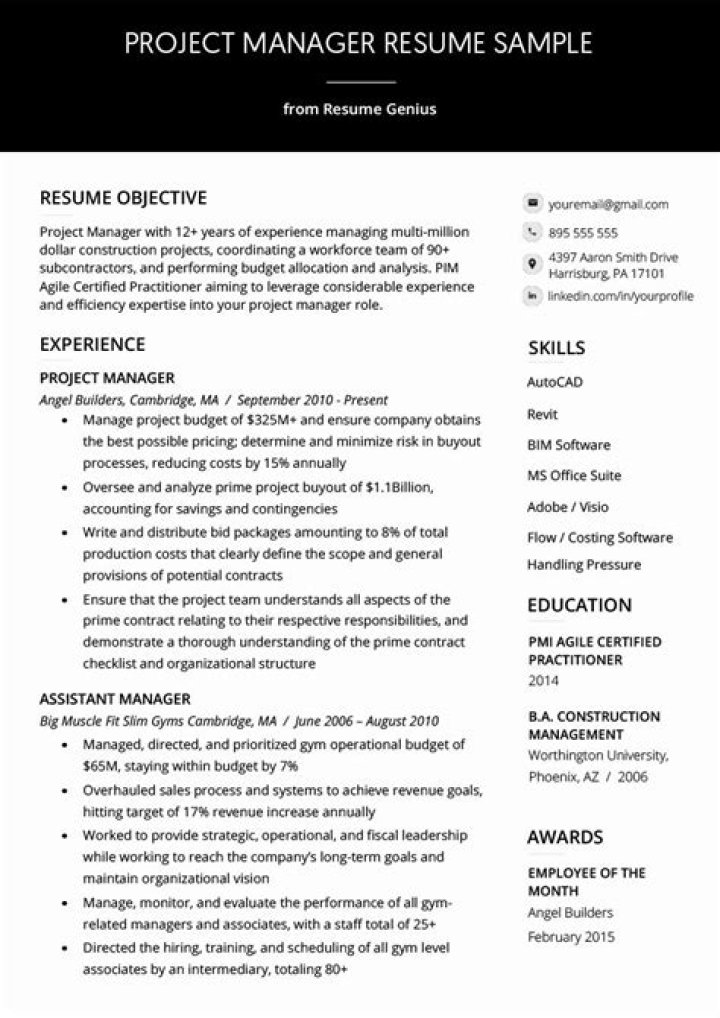 Technical Project Manager Resume PDF for Job Success