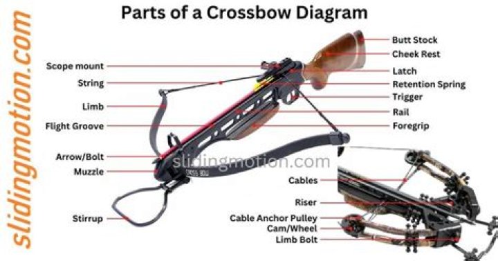 Free Tenpoint Crossbow Parts List PDF – Download Now