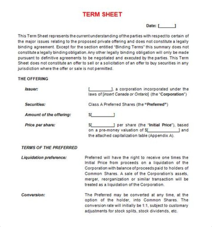 Term Sheet Example PDF for Negotiations