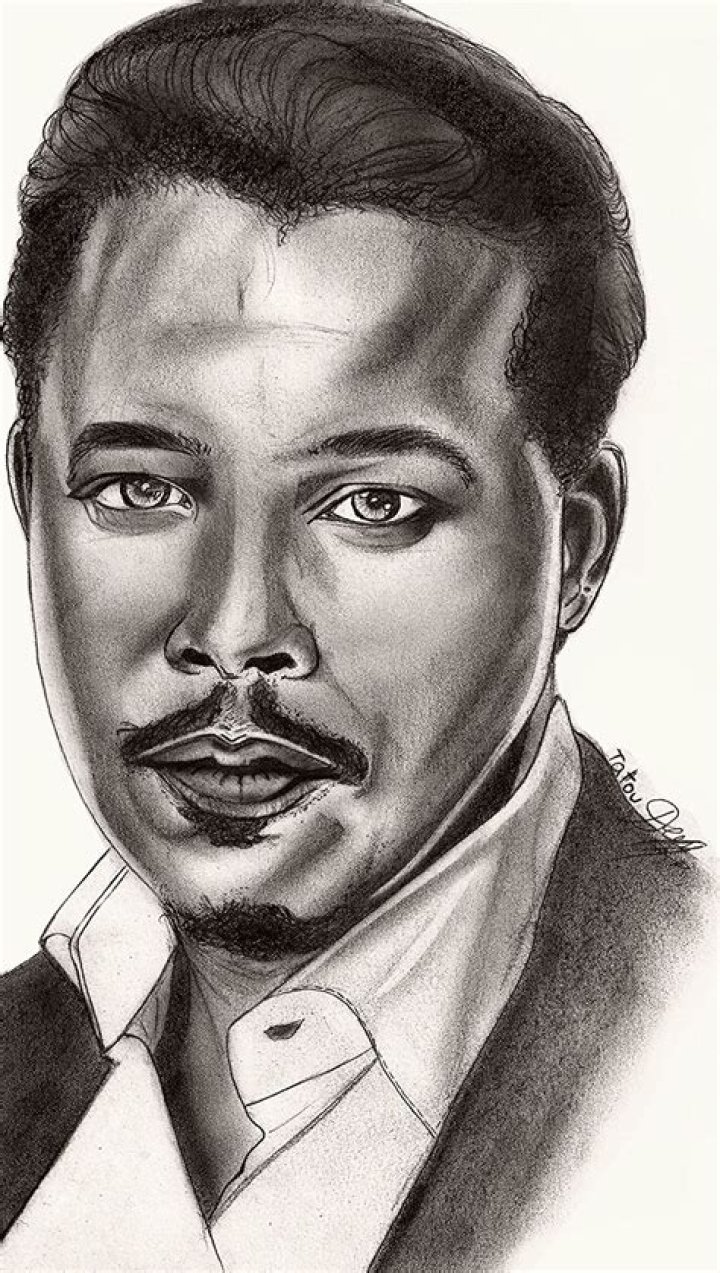 TERRENCE HOWARD AKA Lucious Lyon (Head of the record label Empire